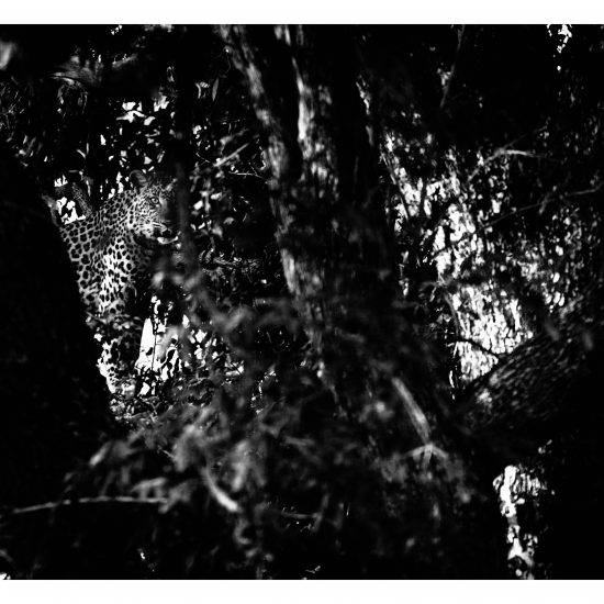 The Unseen (B&W)