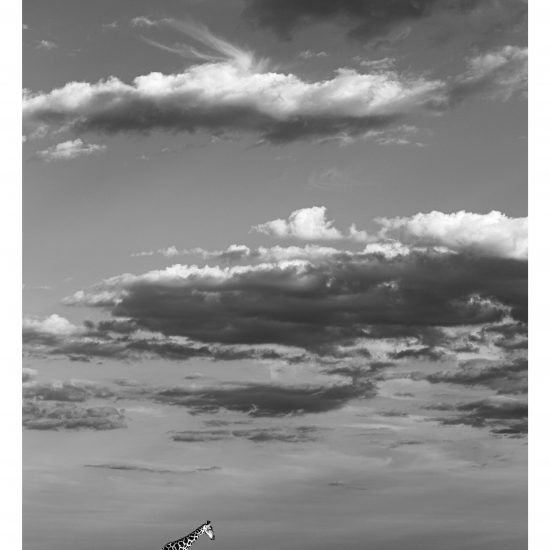Big Skies