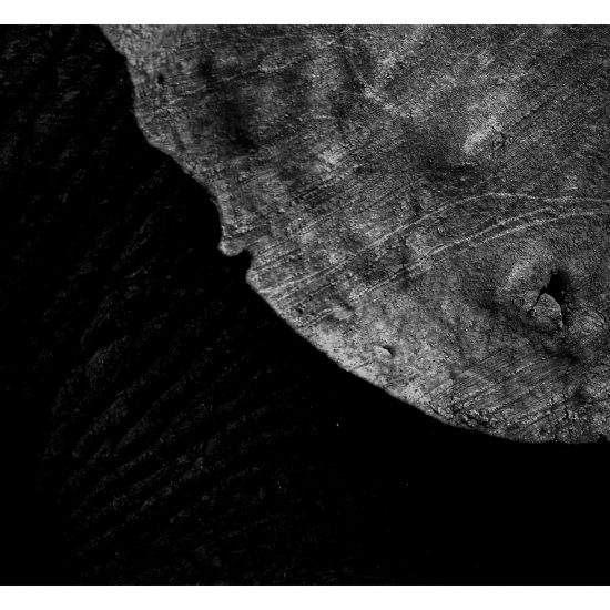 Ear Hole